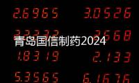 快排公司十年历程，霸屏兔 seo 的崛起与坚守