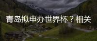 青岛拟申办世界杯	？相关部门回应
：不一定是主赛事