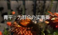 青平	：为群众办实事要“踩准步点”