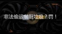 非法偷运餐厨垃圾	？罚！