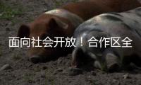 面向社会开放！合作区全民国家安全教育展开幕