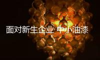 快排公司十年历程，霸屏兔 seo 的崛起与坚守