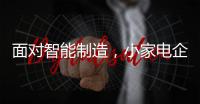 快排公司十年历程，霸屏兔 seo 的崛起与坚守