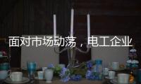 面对市场动荡，电工企业要适应环境变化