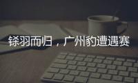 铩羽而归，广州豹遭遇赛季第四败
