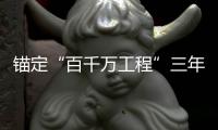 快排公司十年历程，霸屏兔 seo 的崛起与坚守