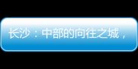 快排公司十年历程，霸屏兔 seo 的崛起与坚守