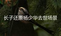 长子还原杨少华去世场景�！头晕送医半路离世，杨议隐瞒细节惹争议
