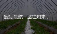 快排公司十年历程，霸屏兔 seo 的崛起与坚守