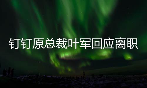 “并不是钉钉为了做钉钉