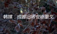 韩媒：成都旧将安德里戈加盟水原FC，不会回成都
