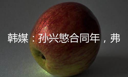 在效力热刺的韩媒10个赛季中