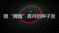 快排公司十年历程，霸屏兔 seo 的崛起与坚守