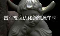 雷军提议优化新能源车牌设计，网友：期待个性化色彩样式