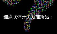快排公司十年历程，霸屏兔 seo 的崛起与坚守