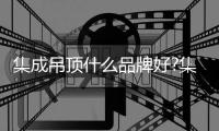 快排公司十年历程，霸屏兔 seo 的崛起与坚守