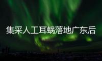 集采人工耳蜗落地广东后，哪些人最受益？