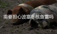 需要担心波塞冬核鱼雷吗
？丨军事