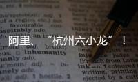 阿里
、“杭州六小龙”	！澳琴组团赴杭招商
，走访超20家知名企业