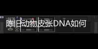 陈旧动物皮张DNA如何获取？ 最新研究称改良方法值得推广