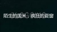 陌生的国米，疯狂的夏窗！净投入1亿欧
�，或有5000万欧豪购！