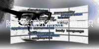 快排公司十年历程，霸屏兔 seo 的崛起与坚守