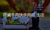 快排公司十年历程，霸屏兔 seo 的崛起与坚守