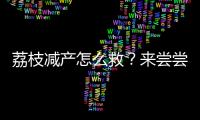快排公司十年历程，霸屏兔 seo 的崛起与坚守