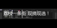 荔枝一条街 现摘现选
！斗门荔枝旅游文化嘉年华等你来
