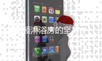 快排公司十年历程，霸屏兔 seo 的崛起与坚守