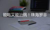 快排公司十年历程，霸屏兔 seo 的崛起与坚守