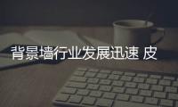 背景墙行业发展迅速 皮雕将成为流行趋势