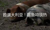 快排公司十年历程，霸屏兔 seo 的崛起与坚守