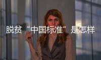 脱贫“中国标准”是怎样制定的？ 下一步怎么走？