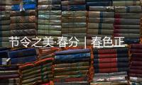 节令之美·春分｜春色正中分，人间恰良辰