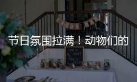 节日氛围拉满
！动物们的专属“月饼”都是什么馅的？