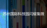 苏州国际科技园闪耀集微大会，展现千亿级“硬核科技”实力