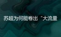 快排公司十年历程，霸屏兔 seo 的崛起与坚守