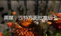 英媒：沙特方面批准纽卡高价签伊兰加，目标还包括格伊等国脚球员