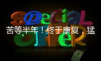 快排公司十年历程，霸屏兔 seo 的崛起与坚守
