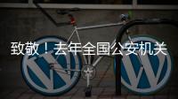 致敬！去年全国公安机关382名民辅警因公牺牲