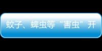 蚊子、蜱虫等“害虫”开始活跃，这份防虫全攻略请收好