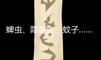 蜱虫、隐翅虫
、蚊子……夏季常见蚊虫如何应对