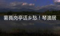 薯莨岗亭话乡愁！琴澳居民共绘客家风情画卷
