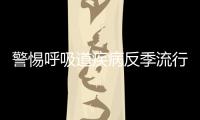 快排公司十年历程，霸屏兔 seo 的崛起与坚守