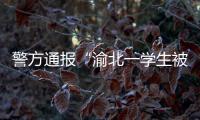 警方通报“渝北一学生被人贩子针扎后昏迷”	
：嫌疑人已被刑拘