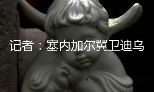 塞内转会费总价2500万欧元