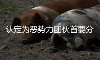 认定为恶势力团伙首要分子！95岁离休干部获刑五年
