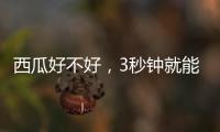 西瓜好不好，3秒钟就能验！验瓜师有啥技巧？