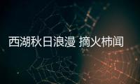 快排公司十年历程，霸屏兔 seo 的崛起与坚守